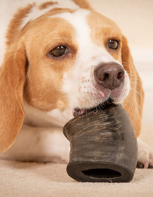 Load image into Gallery viewer, Water Buffalo Prime Select Dog Chews, All Natural Dog Bones &amp; Dog Treats 7 Pack (Long Lasting Dog Chews, Dog Bone Assortment, Treats &amp; Dog Bone) Grain Free Dog Chews Bones, Dog Snacks
