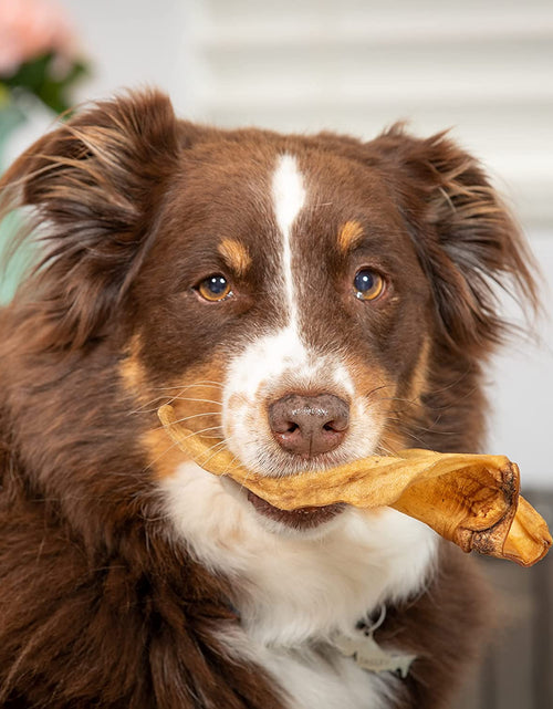 Load image into Gallery viewer, Water Buffalo Prime Select Dog Chews, All Natural Dog Bones &amp; Dog Treats 7 Pack (Long Lasting Dog Chews, Dog Bone Assortment, Treats &amp; Dog Bone) Grain Free Dog Chews Bones, Dog Snacks
